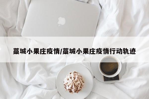 藁城小果庄疫情/藁城小果庄疫情行动轨迹