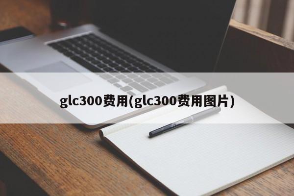 glc300费用(glc300费用图片)