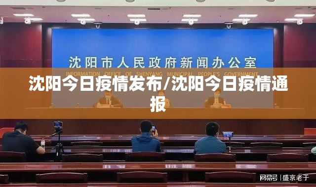 沈阳今日疫情发布/沈阳今日疫情通报 沈阳今日疫情发布/沈阳今日疫情通报