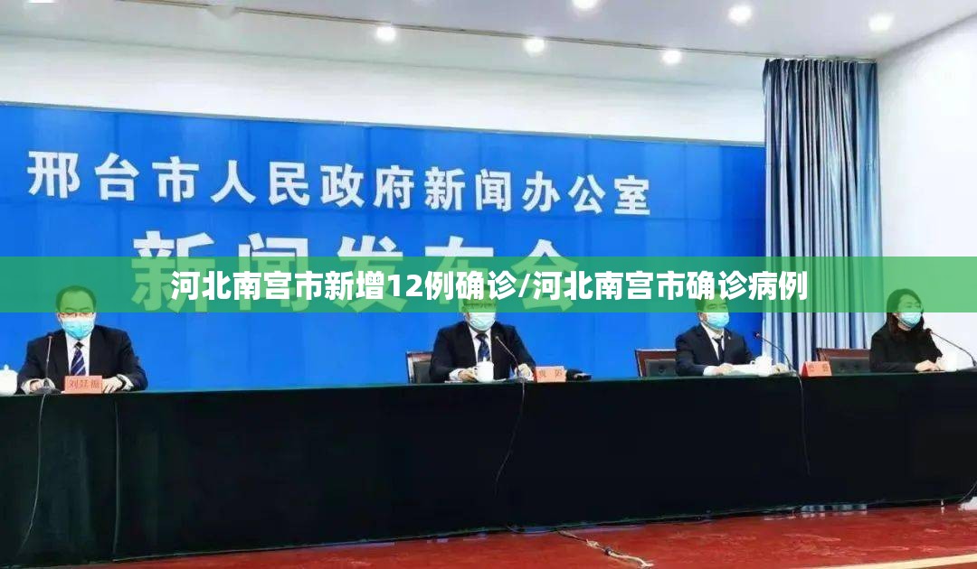 河北南宫市新增12例确诊/河北南宫市确诊病例