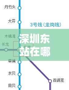 深圳东站在哪里/深圳东站在哪里位置