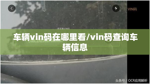 车辆vin码在哪里看/vin码查询车辆信息