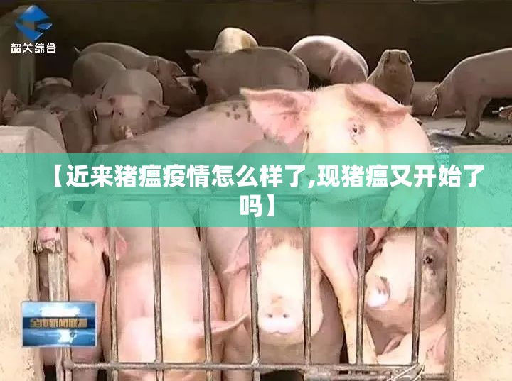 【近来猪瘟疫情怎么样了,现猪瘟又开始了吗】