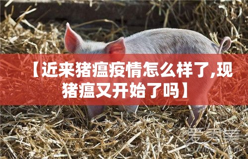 【近来猪瘟疫情怎么样了,现猪瘟又开始了吗】
