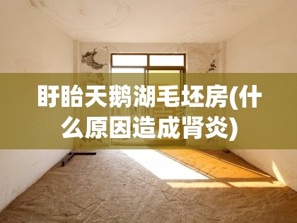 盱眙天鹅湖毛坯房(什么原因造成肾炎)