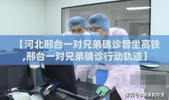 【河北邢台一对兄弟确诊曾坐高铁,邢台一对兄弟确诊行动轨迹】