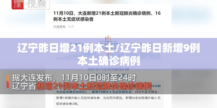 辽宁昨日增21例本土/辽宁昨日新增9例本土确诊病例
