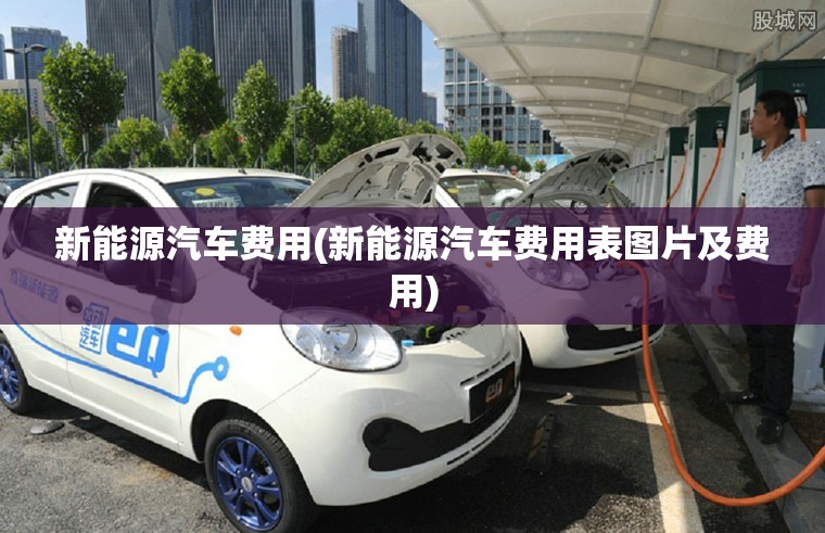 新能源汽车费用(新能源汽车费用表图片及费用)