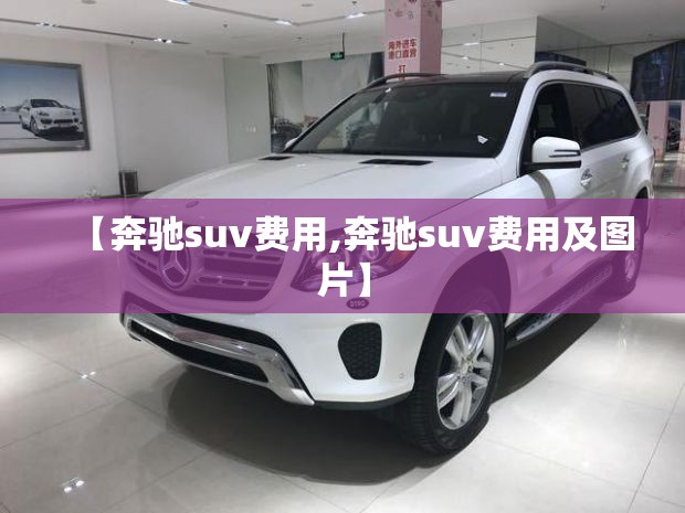 【奔驰suv费用,奔驰suv费用及图片】