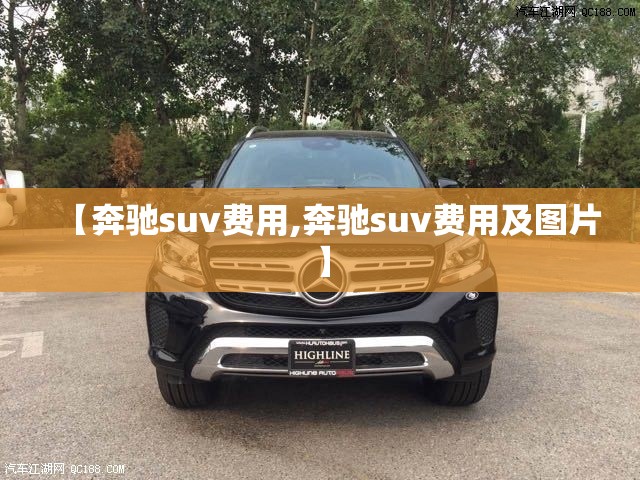 【奔驰suv费用,奔驰suv费用及图片】