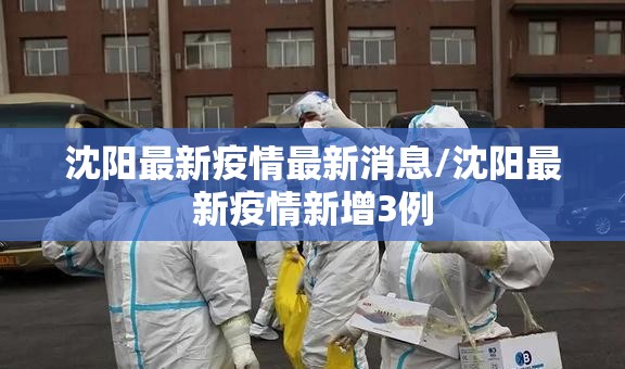 沈阳最新疫情最新消息/沈阳最新疫情新增3例