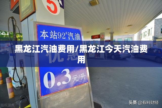 黑龙江汽油费用/黑龙江今天汽油费用