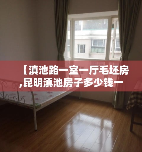 【滇池路一室一厅毛坯房,昆明滇池房子多少钱一平方米】