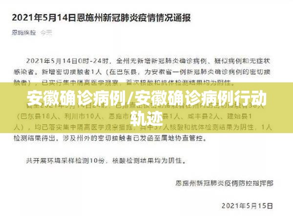 安徽确诊病例/安徽确诊病例行动轨迹