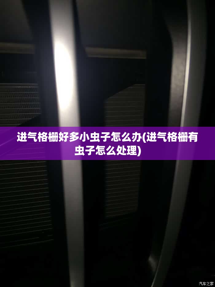 进气格栅好多小虫子怎么办(进气格栅有虫子怎么处理)