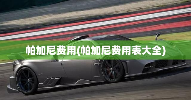 帕加尼费用(帕加尼费用表大全) 帕加尼费用(帕加尼费用表大全)
