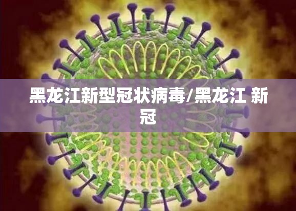 黑龙江新型冠状病毒/黑龙江 新冠