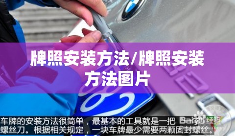牌照安装方法/牌照安装方法图片