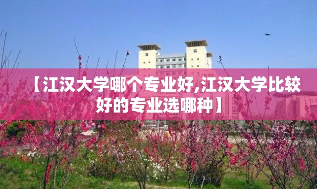 【江汉大学哪个专业好,江汉大学比较好的专业选哪种】