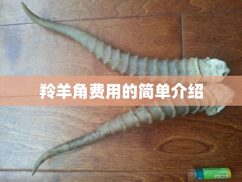 羚羊角费用的简单介绍