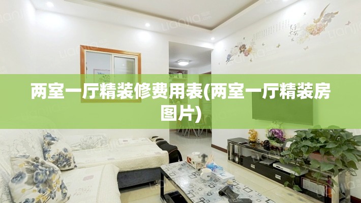 两室一厅精装修费用表(两室一厅精装房图片)