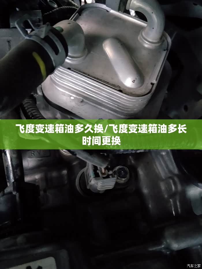 飞度变速箱油多久换/飞度变速箱油多长时间更换