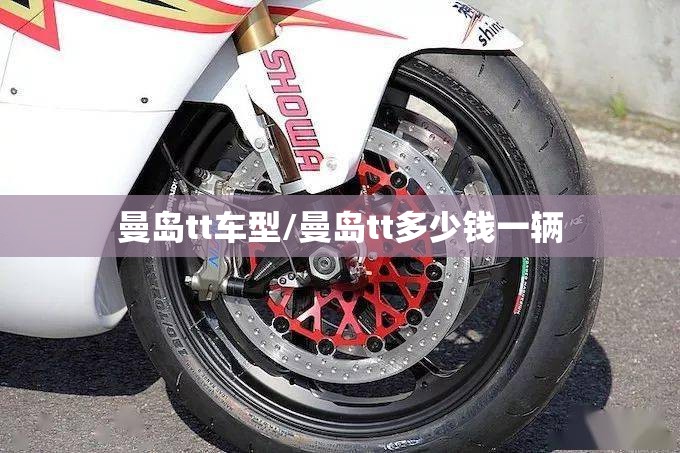 曼岛tt车型/曼岛tt多少钱一辆 曼岛tt车型/曼岛tt多少钱一辆