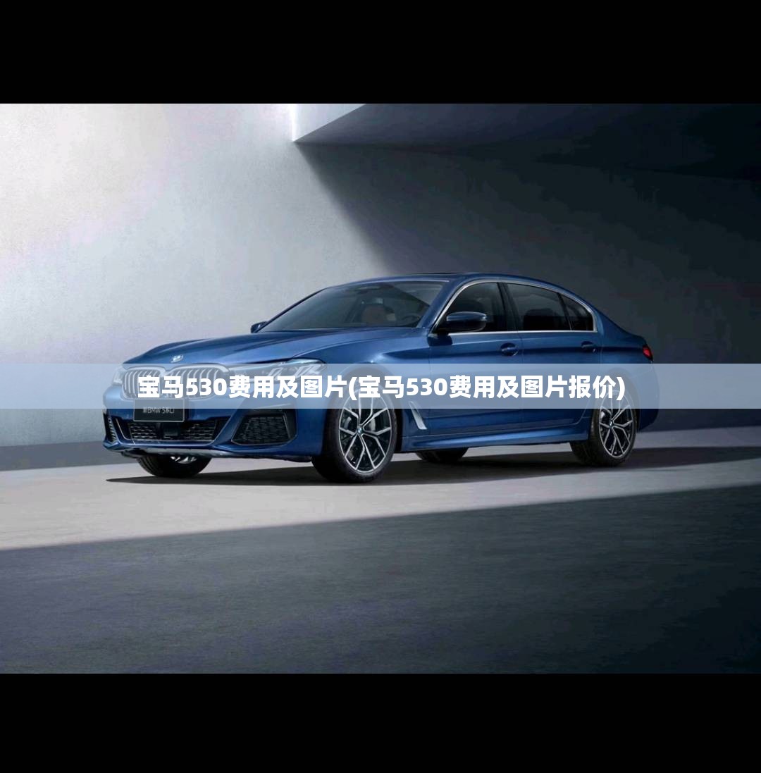 宝马530费用及图片(宝马530费用及图片报价)