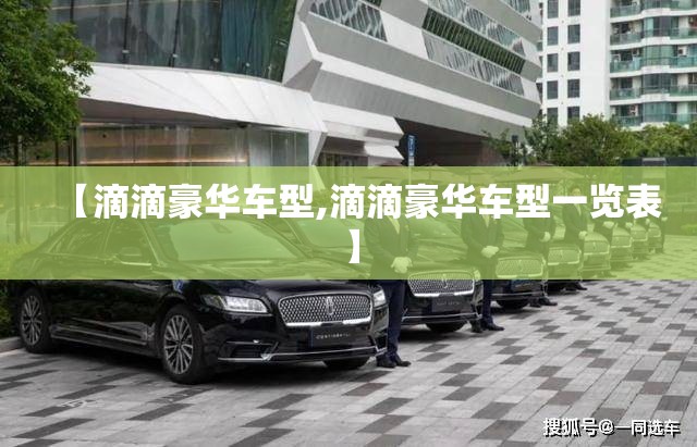【滴滴豪华车型,滴滴豪华车型一览表】