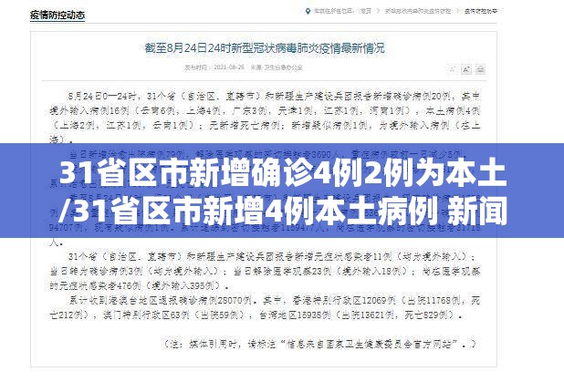 31省区市新增确诊4例2例为本土/31省区市新增4例本土病例 新闻