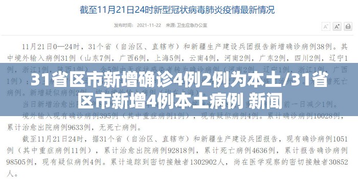 31省区市新增确诊4例2例为本土/31省区市新增4例本土病例 新闻
