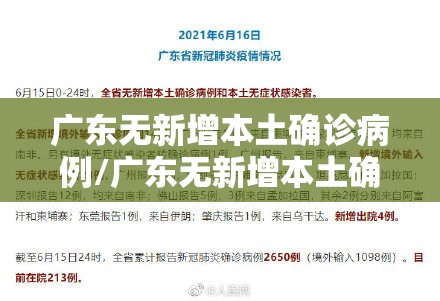 广东无新增本土确诊病例/广东无新增本土确诊和本土无症状