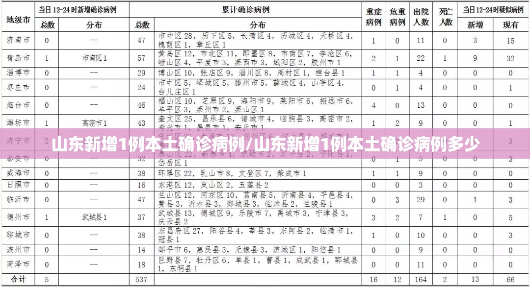 山东新增1例本土确诊病例/山东新增1例本土确诊病例多少