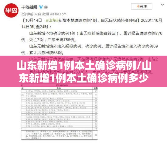 山东新增1例本土确诊病例/山东新增1例本土确诊病例多少