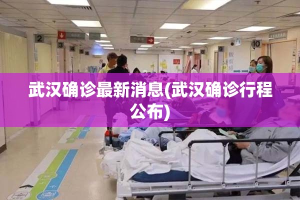 武汉确诊最新消息(武汉确诊行程公布)