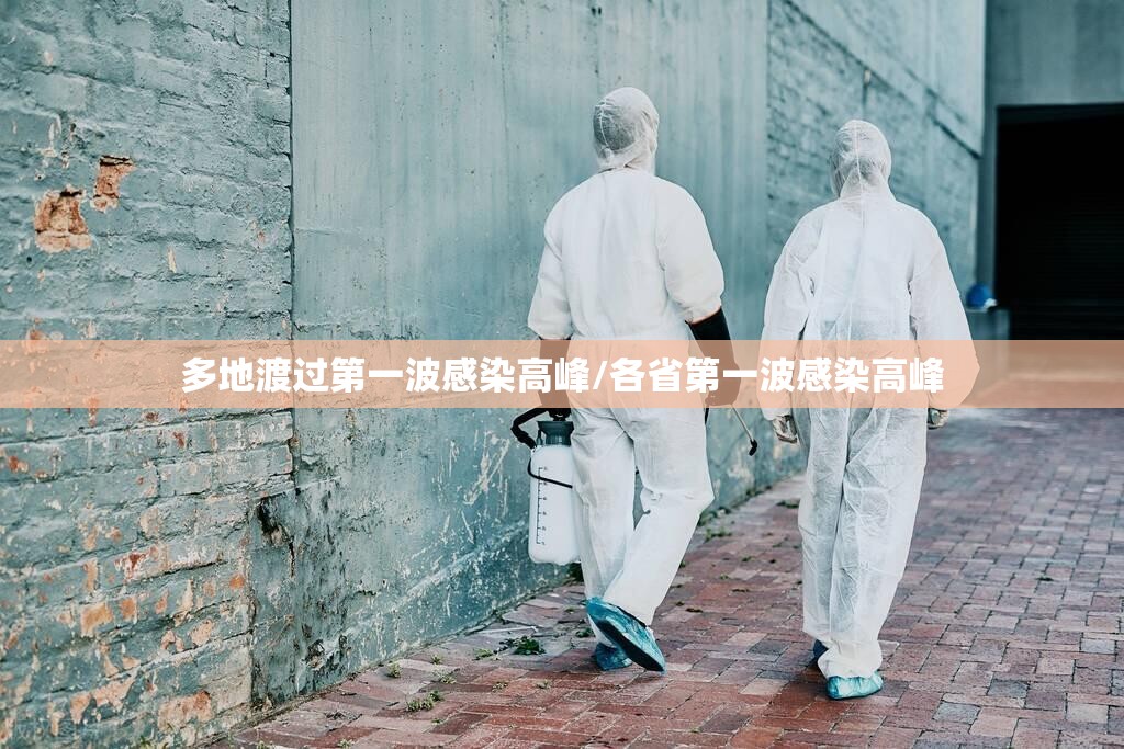 多地渡过第一波感染高峰/各省第一波感染高峰
