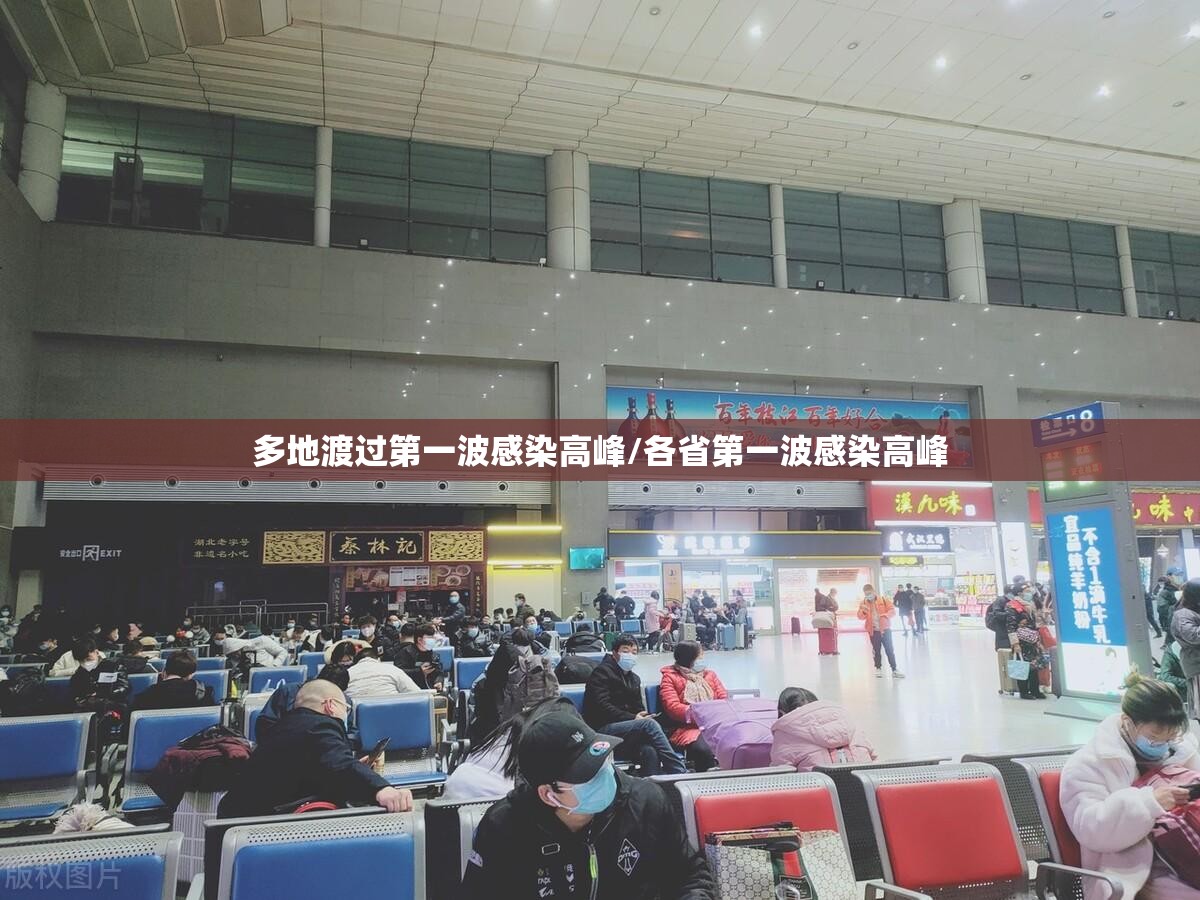 多地渡过第一波感染高峰/各省第一波感染高峰