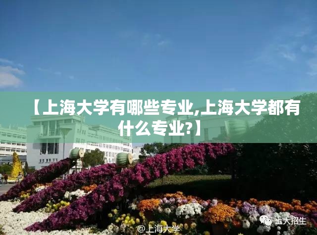 【上海大学有哪些专业,上海大学都有什么专业?】