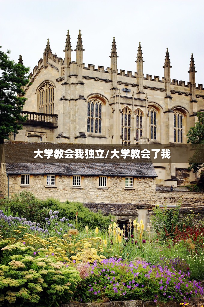 大学教会我独立/大学教会了我 大学教会我独立/大学教会了我
