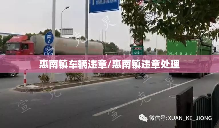 惠南镇车辆违章/惠南镇违章处理