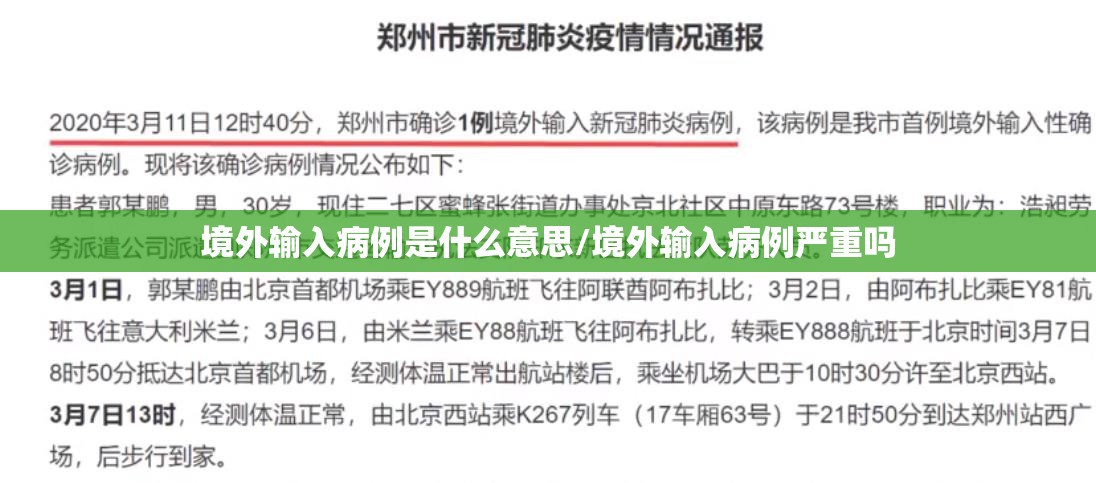 境外输入病例是什么意思/境外输入病例严重吗