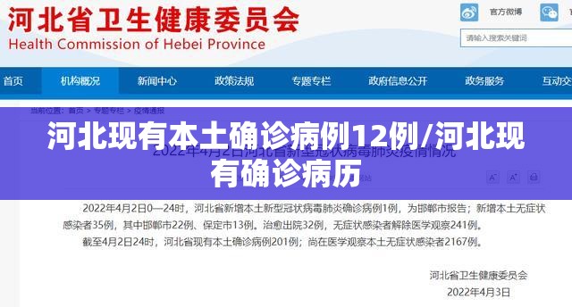河北现有本土确诊病例12例/河北现有确诊病历