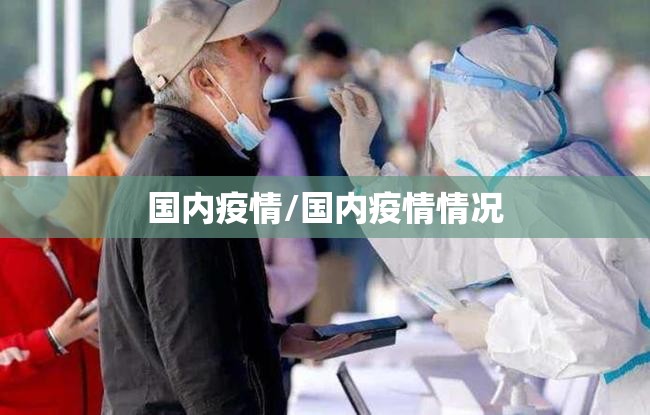 国内疫情/国内疫情情况