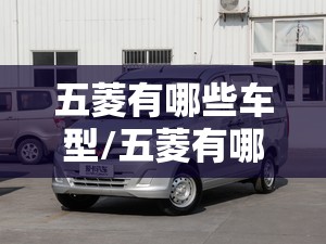 五菱有哪些车型/五菱有哪些车型6年免检