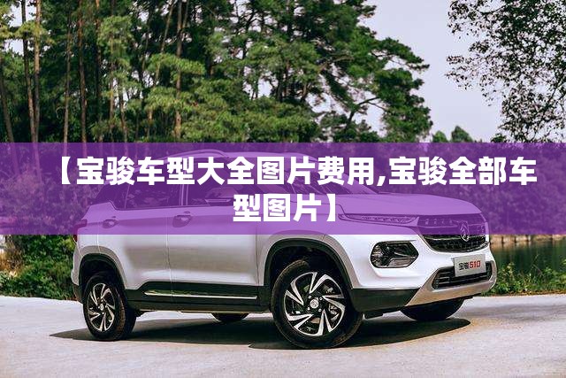 【宝骏车型大全图片费用,宝骏全部车型图片】