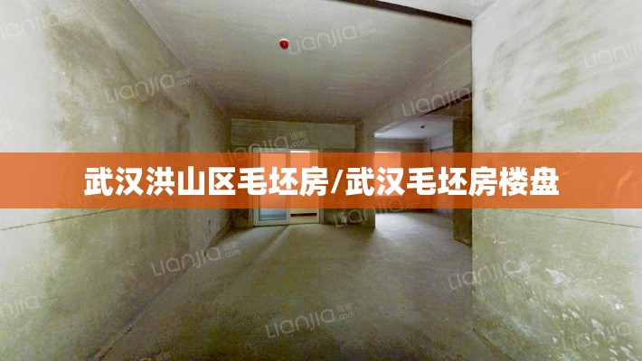 武汉洪山区毛坯房/武汉毛坯房楼盘