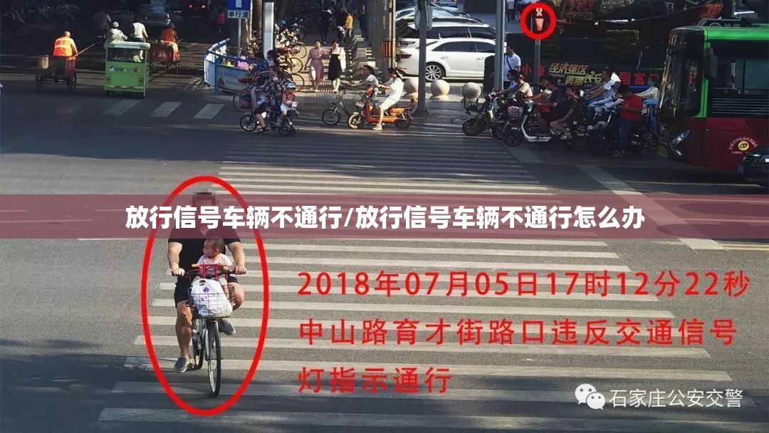 放行信号车辆不通行/放行信号车辆不通行怎么办