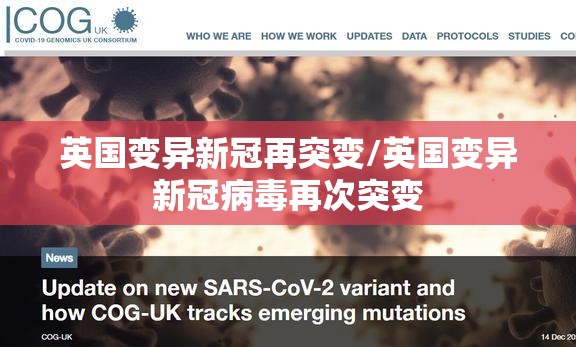 英国变异新冠再突变/英国变异新冠病毒再次突变