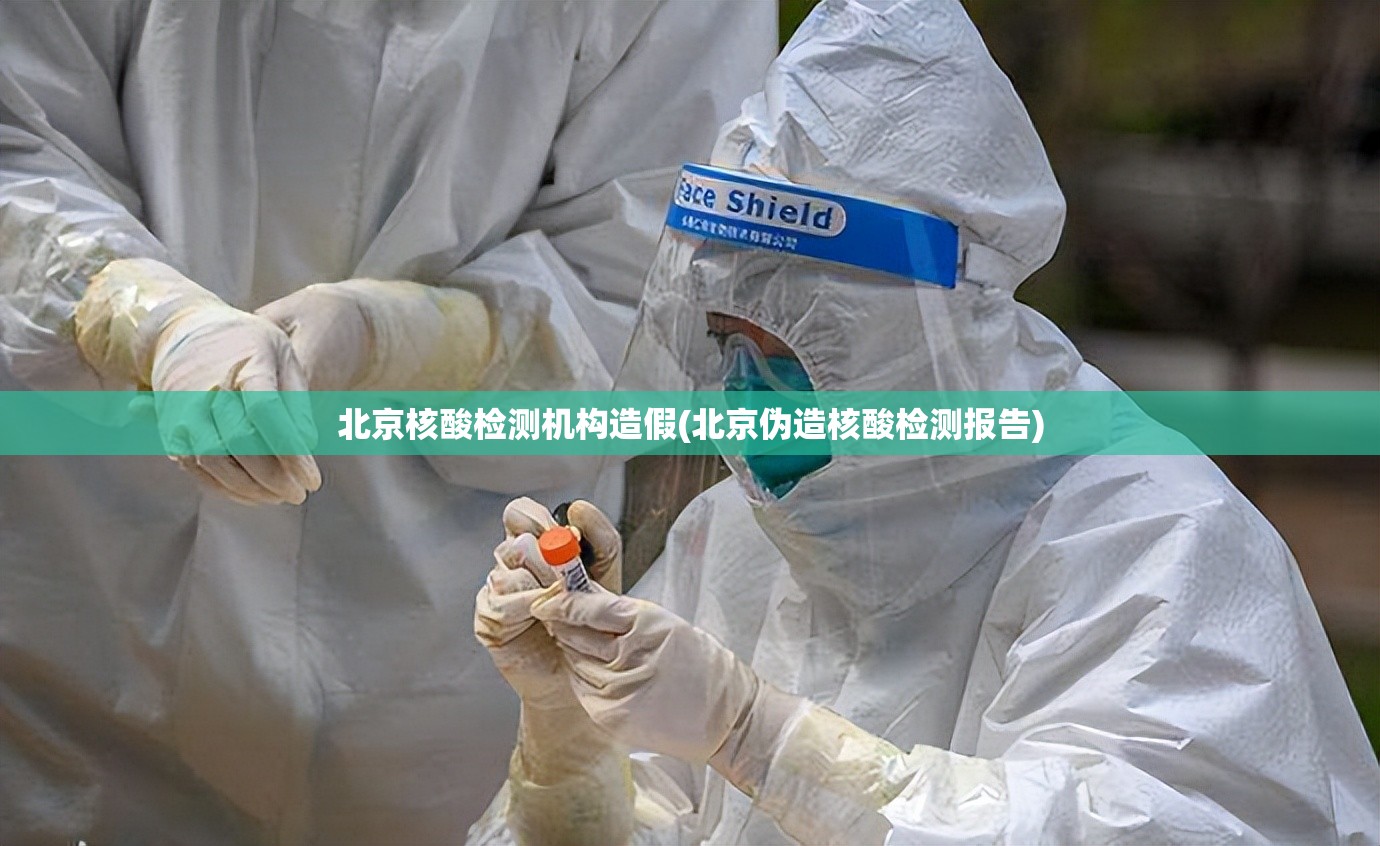 北京核酸检测机构造假(北京伪造核酸检测报告)