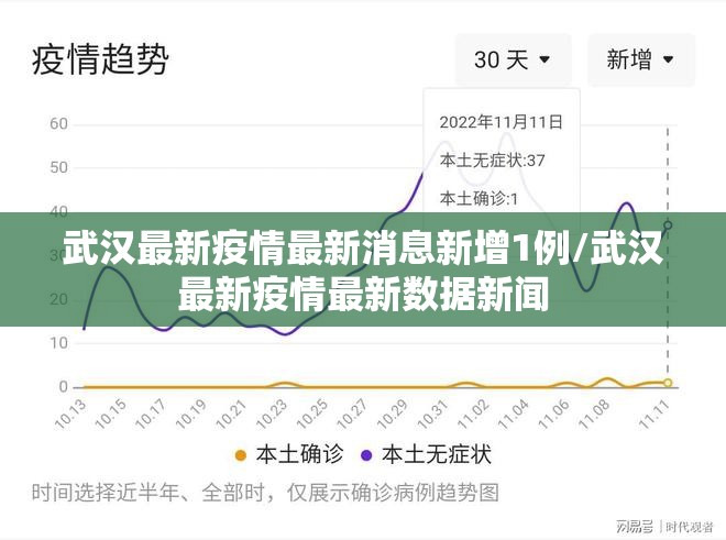 武汉最新疫情最新消息新增1例/武汉最新疫情最新数据新闻